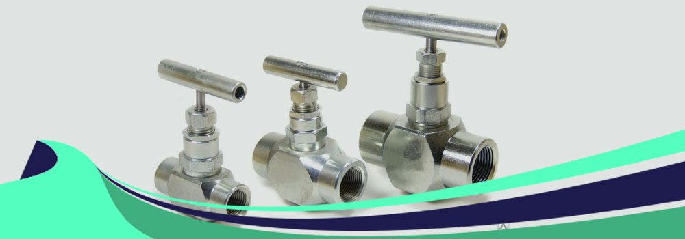 Duplex Steel S31803 / S32205 Needle Valves