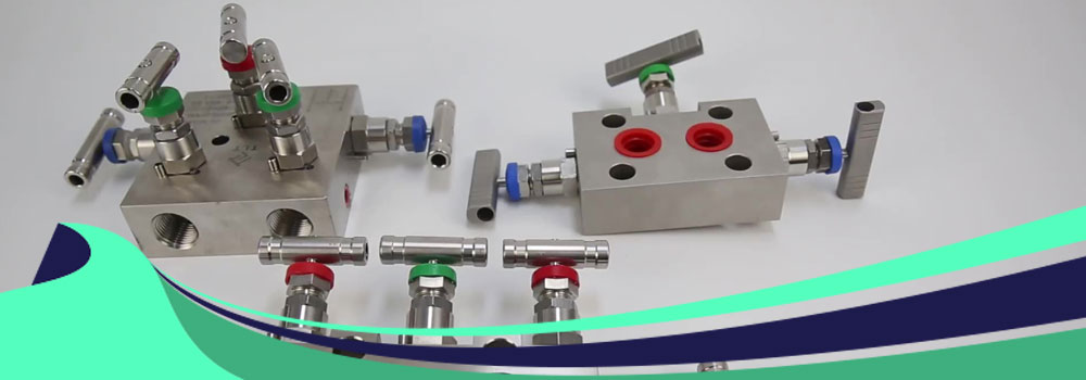 Stainless Steel 304 Manifold Valves