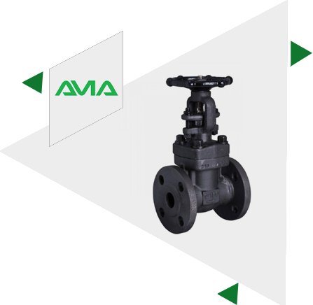 Mild Steel Forged Globe Valve