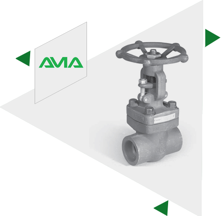 Stainless Steel Forged Gate Valve