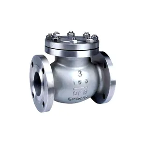 SS 310S Check Valves