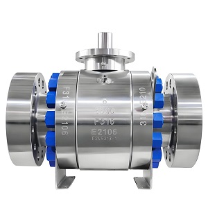 Steel 310S Ball Valves
