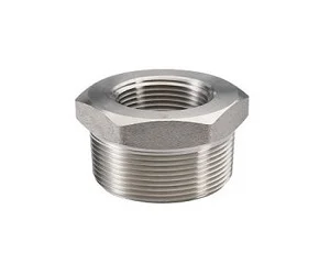 Duplex Steel Threaded Plug for secure pipe closure in high pressure applications